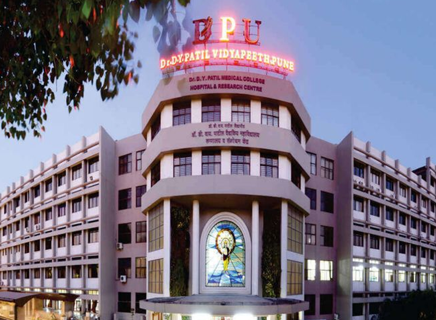 D.Y. Patil University Online